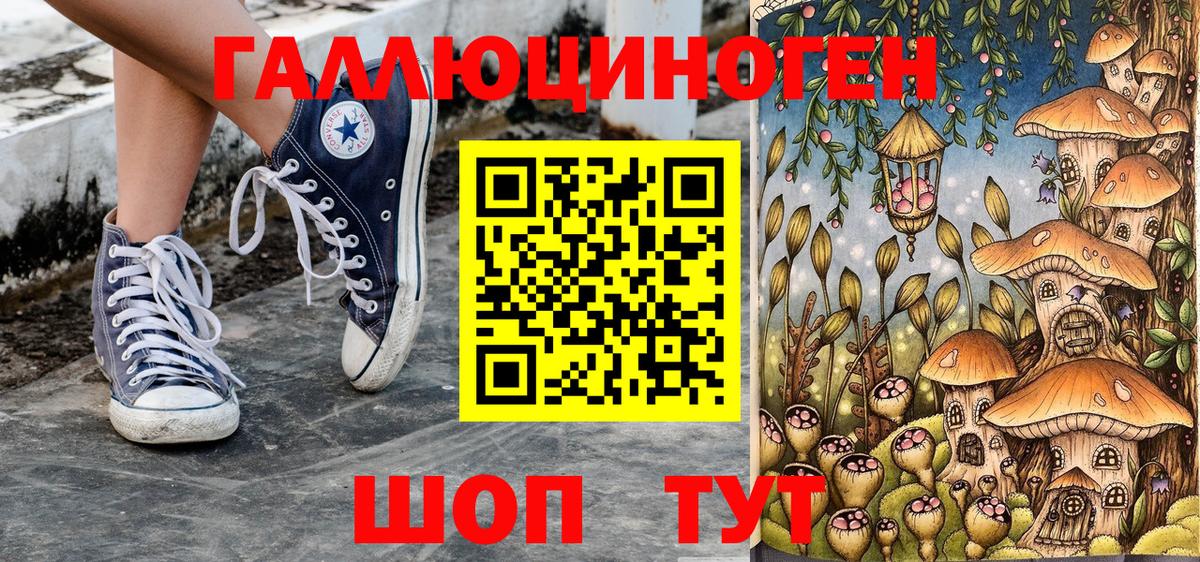 Берёзовский  Галлюциногенные грибы Psilocybe  Вход с VPN 
