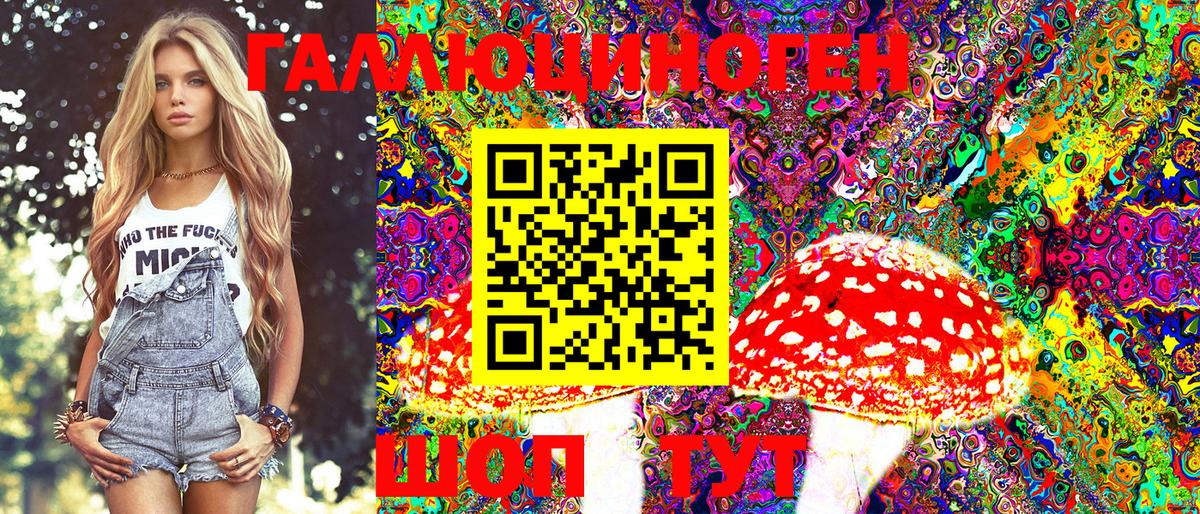 Галлюциногенные грибы Cubensis Берёзовский